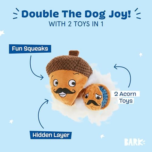 BarkBox Monsieur Acorn 2-in-1 Interactive Plush Dog Toy