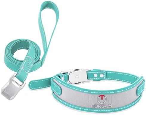 Magnetic Dog Collar and Leash Set with Quick Release Buckle, Easy On & Off Faux Leather Puppy Collar with 4FT Leash for Small, Medium Dog