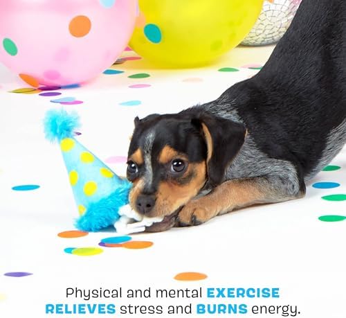 BarkBox The Party Farter Dog Toy - Fun for Dogs