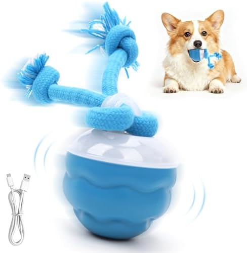 Goosheep 2026 New Interactive Dog Toys, Automatic Moving Dog Ball for Medium/Large Dogs, Interactive Smart Rolling Dogs Toy Ball with Light Up to Keep Them Busy(Blue)