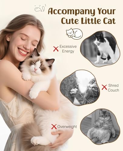 Pawaboo Cat Feather Wand Interactive Toy, 2 Feathers + 1 Wand with Bell