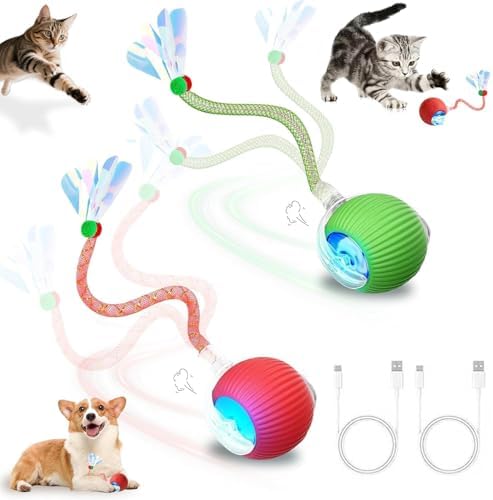 2 Pack Interactive Cat Toy Balls for Indoor with Elastic Mesh Tail