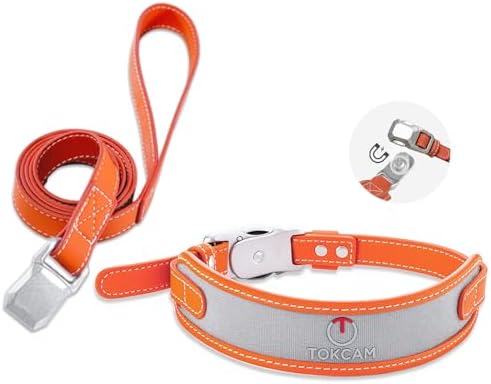 Magnetic Dog Collar and Leash Set with Quick Release Buckle, Easy On & Off Faux Leather Puppy Collar with 4FT Leash for Small, Medium Dog