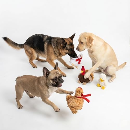 Fuzzl Plush Super Soft Cheeky Chicken - Snow White Dog Toy & Comforter – Cuddly Plush with Squeaker, Gentle Dog Toy for Puppies & Small to Medium Dogs