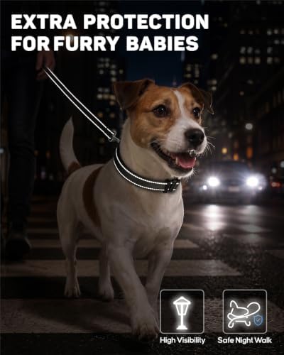 Padded Dog Collar with Waterproof Holder Compatible with Airtag