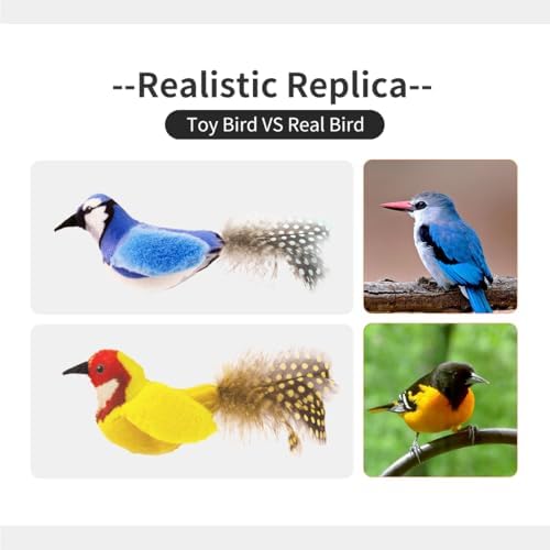 Interactive Cat Toys for Indoor Cats,Catnip and Feather,2Pcs
