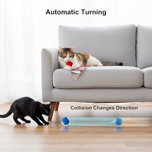 Interactive Cat Toys Ball for Cats - Upgrade Automatic Cat Toys for Indoor Cats, 3 Modes 2 Speed Moving Cat Ball with Dragonfly Feathers 2PCS (Red Blue)