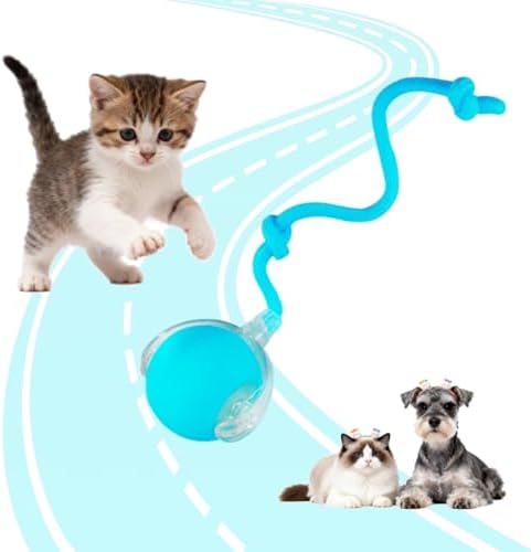 KumCinn Interactive Dog Ball for Small Medium Dogs, Automatic Self Moving Cat Toys Ball for Indoor Cats, 360° Rolling Electric Pet Ball, Fast Smart Motion Activated Toy (Blue)