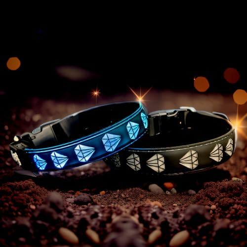 Light Up Glow Dog Collar with AirTag Holder, 15 Color Modes,