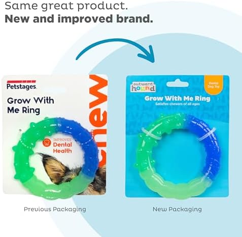 Grow-with-Me Ring Dental Dog Chew Toy, Bounces & Floats, 4.7"