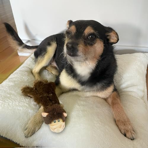 Best Pet Supplies 2-in-1 Stuffless Squeaky Dog Toy - Monkey, Small | No-Stuffing, 2 Built-in Squeaker, No Mess, Soft, Interactive Indoor & Outdoor Play, Lightweight, Perfect for Moderate Chewer