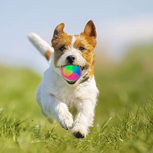 4 pcs Light Up Dog Balls Flashing Elastic Ball Glow in The Dark Interactive Pet Toys for Puppy, Cats, Dogs
