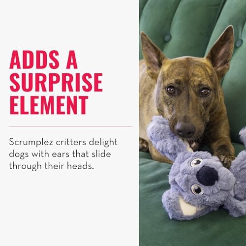 KONG Scrumplez Dog Toy - Soft Plush Squeaker Toy for Interactive Play, Stuffed with Extra-Squeaky Fun, Durable and Engaging for Dogs (Gray Koala)