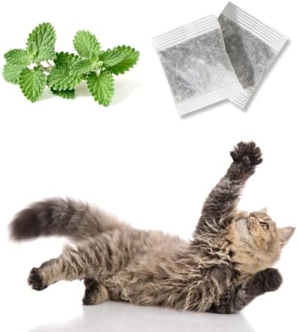 Pet Fit For Life Floppy Fish Cat Toy with Catnip - Multicolor, 2 Count