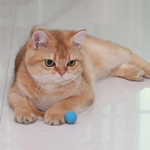 Cat Toy Ball with Feathered Tail for Indoor Cats, 3-Pack
