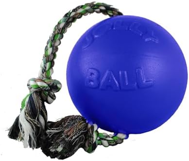 Jolly Pets Romp-N-Roll Rope & Ball Dog Toy, 4.5 in Small, Blue
