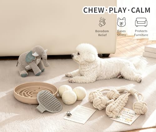 Dog Gift Basket – Puppy Starter Kit, Welcome New Puppy Gift Basket with Interactive Toys Bundle, Perfect Dog Birthday Set with Chew Toys, Pet Essentials for New Owners