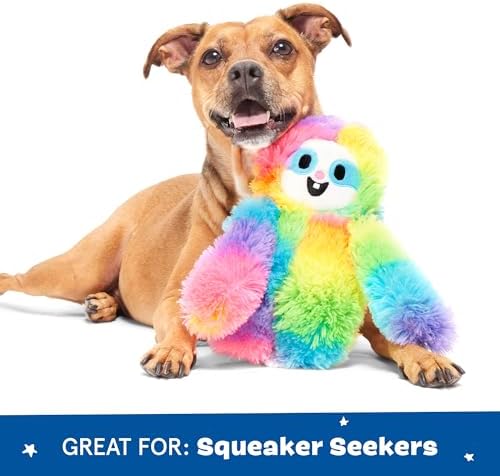 BarkBox Good Vibes Gary Dog Toy