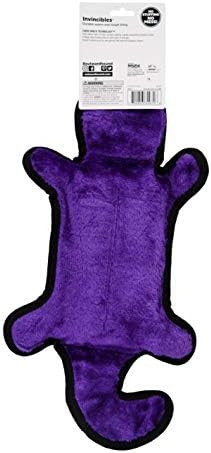 Outward Hound Durablez Tough Chew Plush Squeaky Dog Toy, Gecko, 17.5"