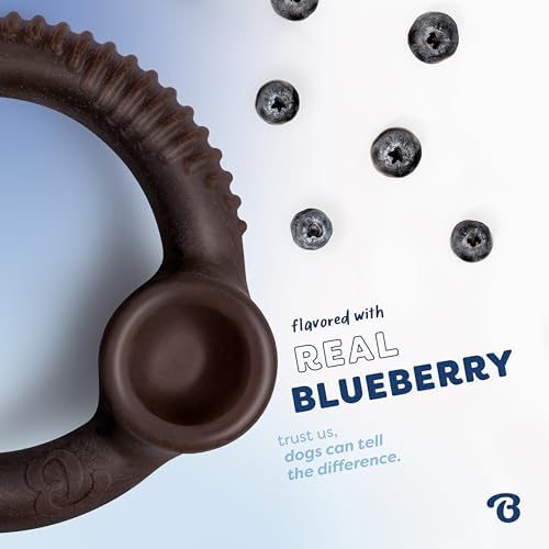 Benebone Ring Dog Chew Toy for Aggressive Chewers, Blueberry, Large