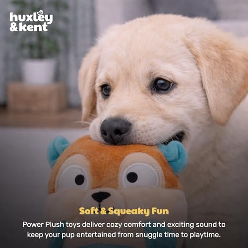 Huxley & Kent Funny Dog Toy w/Squeaker – Power Plush Squeaky Dog Toys for Small Dogs – Durable Small Stuffed Animal for Indoor Play & Fetch - Tiny Tuff Nutty Buddy