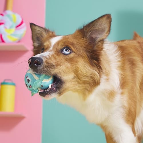 BarkBox Mint Chocolate Poop Scoop Dog Toy - 2-in-1 - for Small Dogs