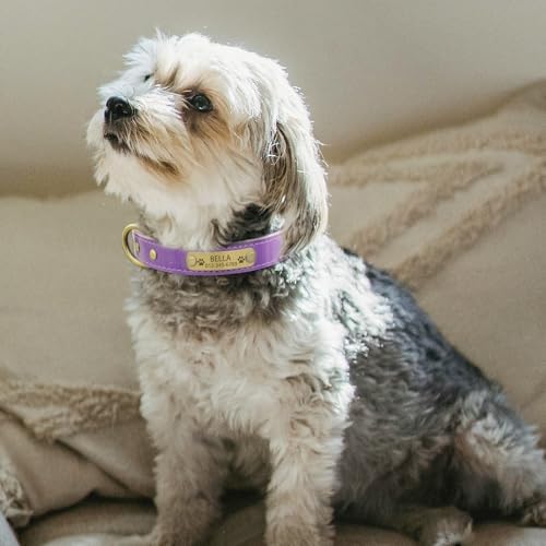 Personalized Genuine Leather Dog Collar with Engraved Name Plate - Durable and Stylish Custom Dog Collar for Small, Medium, and Large Dogs (XL,Light Purple)