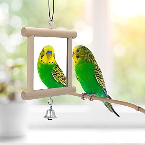 Wontee 4 PCS Bird Mirror with Bell Hanging Interactive Toy (Multi-Colored)