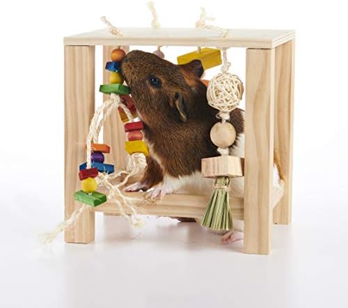 Oxbow Play Table, Rabbit & Guinea Pig Toys, Guinea Pig Accessories