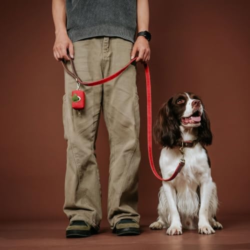 Personalized PU Leather Dog Collars, Quick Release Buckle, Red,L