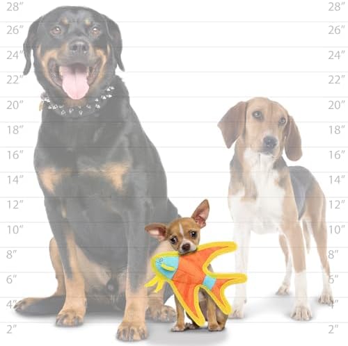 Tuffy® - DuraForce® : Jr Angel Fish Dog Toy: Ultra Durable Plush Toy with Multiple Layers & Reinforced Seams, Washable and Floats, DuraForce® Construction