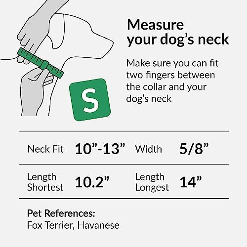 Reflective Dog Collar, Quick-Release Buckle (Lime Green, 10-13 Inch)