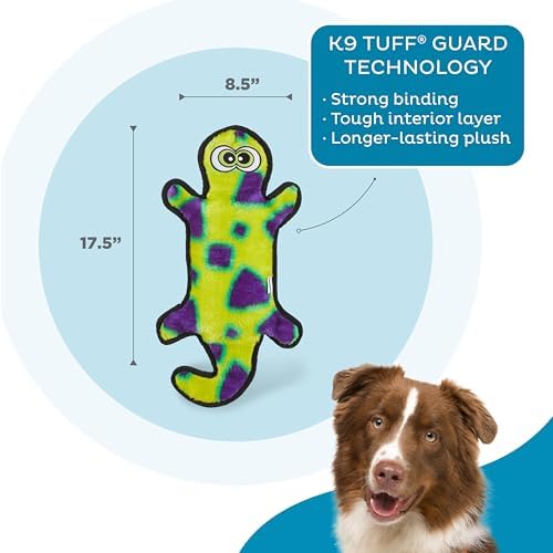 Outward Hound Durablez Tough Chew Plush Squeaky Dog Toy, Gecko, 17.5"