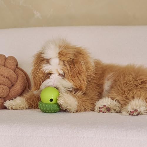 SPOT Treat Tumbler Broccoli – Freezable & Fillable Treat Dispensing Dog Toy for Small & Medium Dogs, Silicone, Easy to Clean, Interactive, Holds Small Kibble & Soft Snacks, 4.38 in