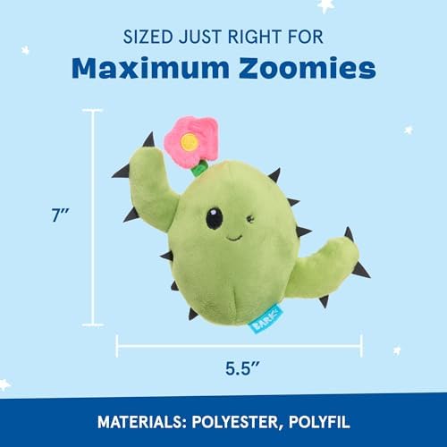 BarkBox Consuela the Cactus 2-in-1 Interactive Plush Dog Toy