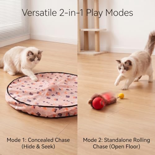 Meowball Mat, Interactive Cat Toy, Hide and Seek Cat Toy, Automatic Rolling Ball, for Indoor Cats, 1 Mat + 1 Ball，White