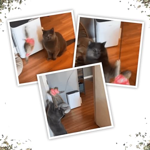 Meowijuana Jump 'n' Jamb Sloth Cat Toy and Catnip Blend | High Potency