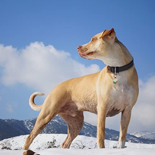Smart Pet ID Tags - Personalized Dog Tags with QR Code for Instant Location Alerts