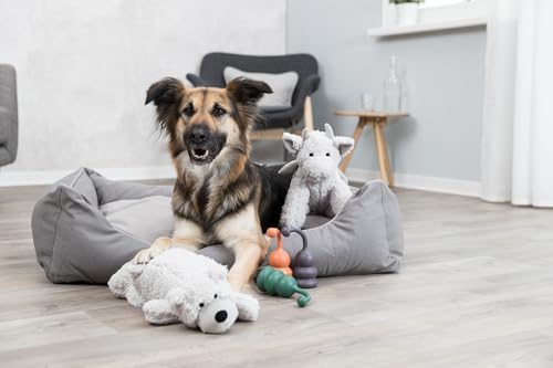 TRIXIE Be Eco Elwin The Dragon Plush Dog Toy for All Dogs