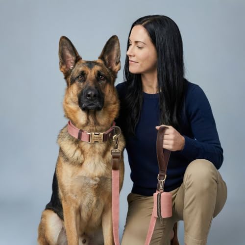 Personalized PU Leather Dog Collars,Quick Release Buckle,Pink,XL