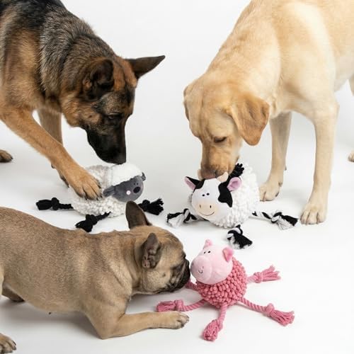 Fuzzl Farmyard Friends Dog Toy – Woolly Sheep – Large Soft Noodle Fabric Plush with Durable Rope Legs – Interactive Tug Chew & Comfort Toy for Dogs