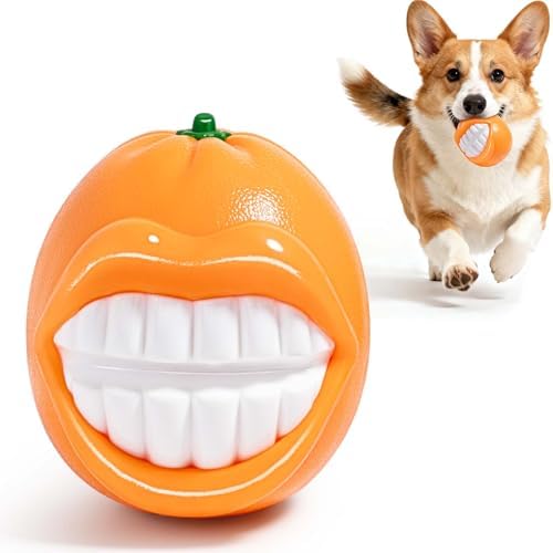 Squeak Dog Toys for Medium/Large Dogs, Dog Toys to Keep Them Busy,Interactive Dog Chew Toys for Enhance the Relationship with Dog,Dog Toy for Indoor Outdoor Water Play Catch,Gift for Dog