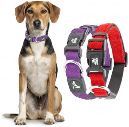 Dog Collar Bundle for Large Dogs (Width- 1.25", Neck - 18"-26") | Adjustable Padded Raspberry Red & Amethyst Dog Collars with Heavy Duty O-Ring | Soft & Comfortable Fit for Large Dogs