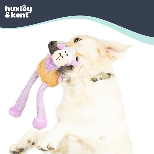 Huxley & Kent Funny Dog Toy w/Squeaker – Power Plush Squeaky Dog Toys for Small, Medium & Large Dogs – Soft Stuffed Animal for Indoor Play & Fetch - Squeak to Crunch - Lankies Vincent Van Goat, Small