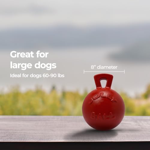 Jolly Pets Tug-n-Toss Heavy Duty Dog Toy Ball with Handle, 8 Inches/Large, Red (408 RD)