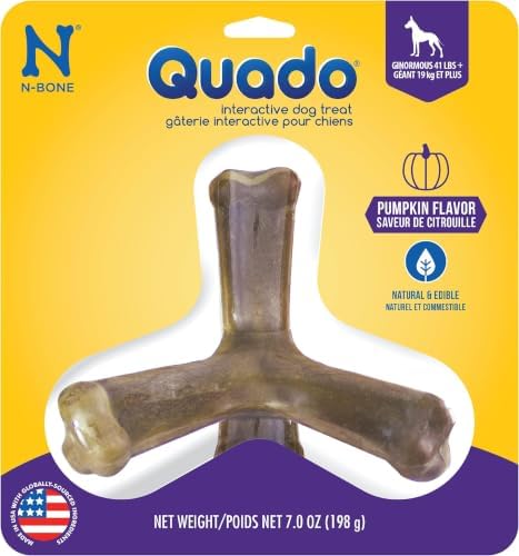 N-Bone Nbone 115097 Quado in Pumpkin, Large (575174) (Pack of 6)