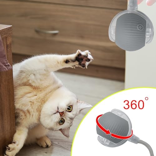 Interactive Cat Dog Toy Ball with LED Light, Automatic Rolling(Grey)