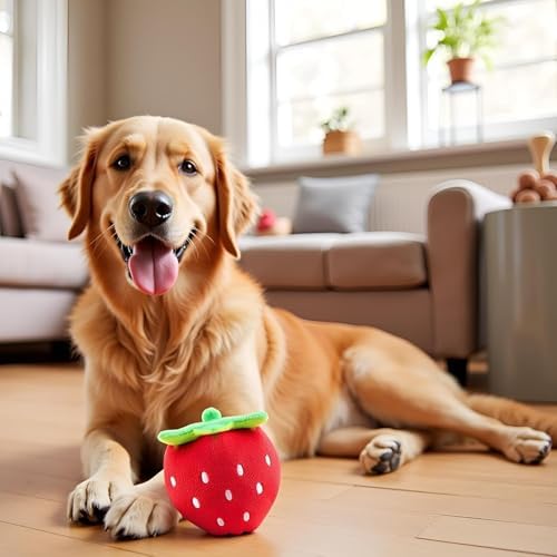 Red Strawberry Plush Squeaky Dog Toy, Interactive Pet Toy, Creative Design, Pet Supplies