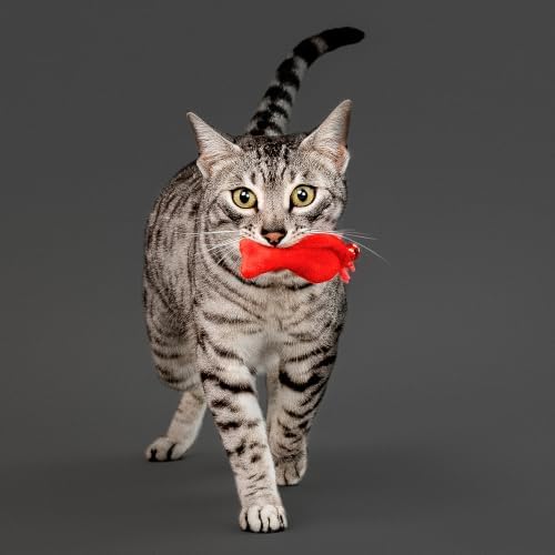 Playology Cat Toys - Catnip Feather Fish, Interactive Play Value 5-Pack