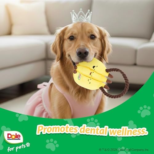 Dog Rope Toy with Squeakers, Banana Tug of War Dog Toy, Tough Cotton Rope Toys for Dogs, Aggressive Chew Toys for Medium Dogs